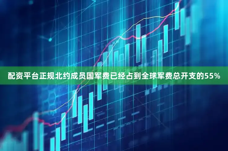 配资平台正规北约成员国军费已经占到全球军费总开支的55%