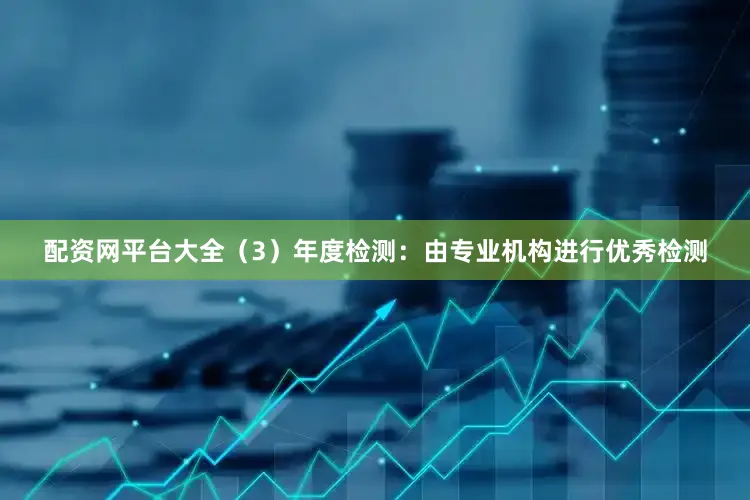 配资网平台大全（3）年度检测：由专业机构进行优秀检测