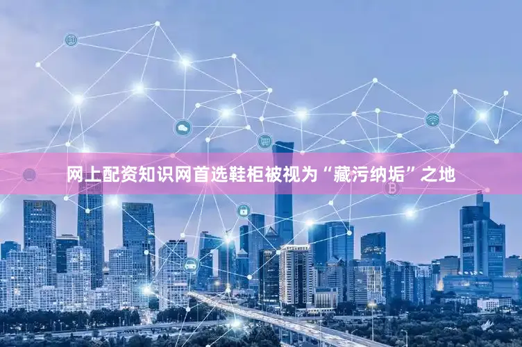 网上配资知识网首选鞋柜被视为“藏污纳垢”之地